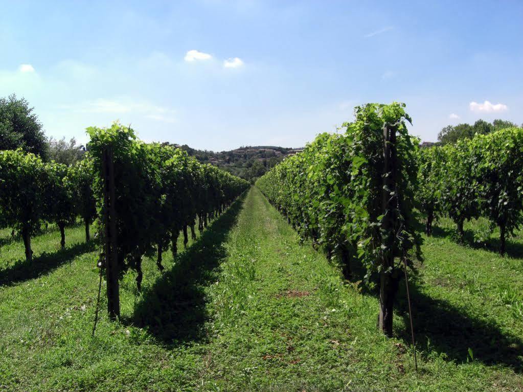 Il Vigneto Affittacamere Manerba del Garda Exterior foto
