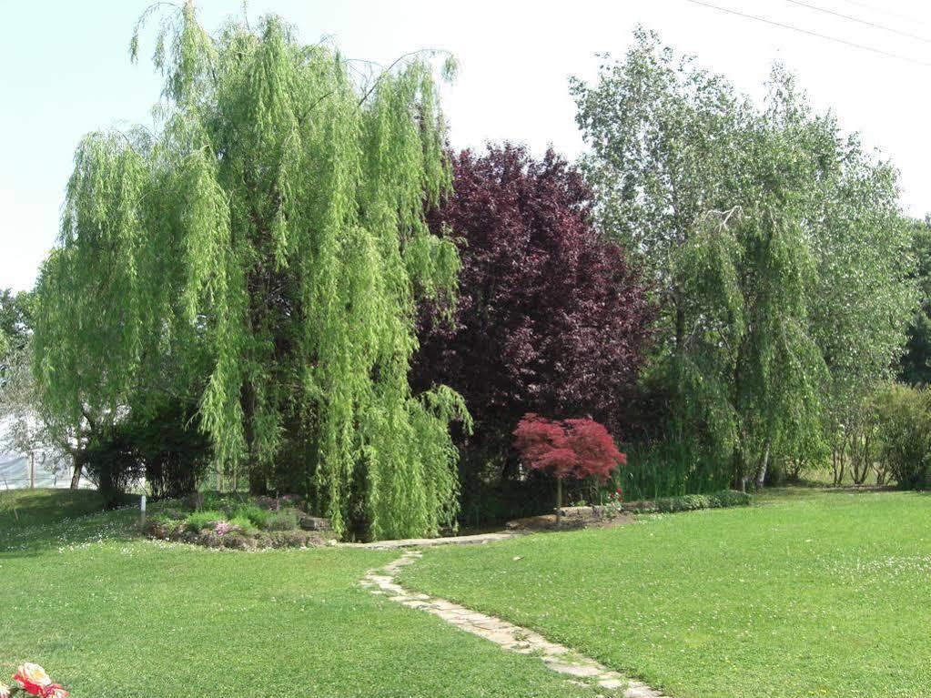 Il Vigneto Affittacamere Manerba del Garda Exterior foto